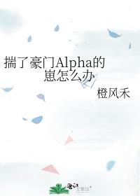 揣了豪门Alpha的崽怎么办